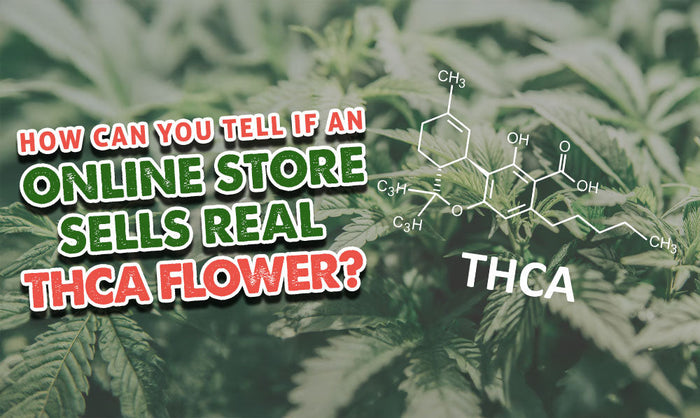 Publicación invitada del Dr. Ganja: ¿Cómo saber si una tienda en línea vende flores de THCA reales?